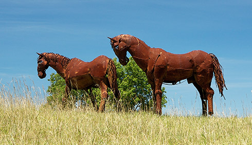 Windy Knoll Horses