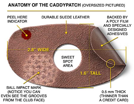 CaddyPatch Anatomy