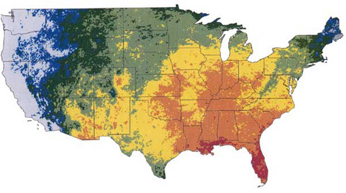 Lightning Probability Map