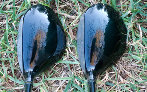 Bobby Jones Hybrids