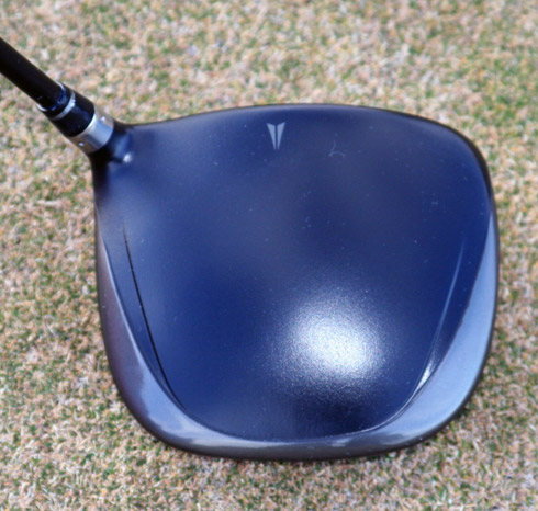 Dymo2 Crown