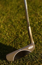 Yes! Sophia Putter Face