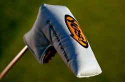 Yes! Sophia Putter Headcover