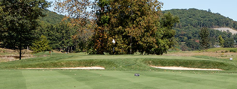 Bedford Springs 8th Green