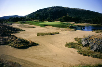 Big Bunker