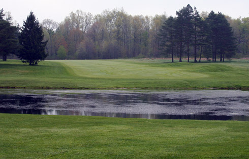 Candywood Third From Green