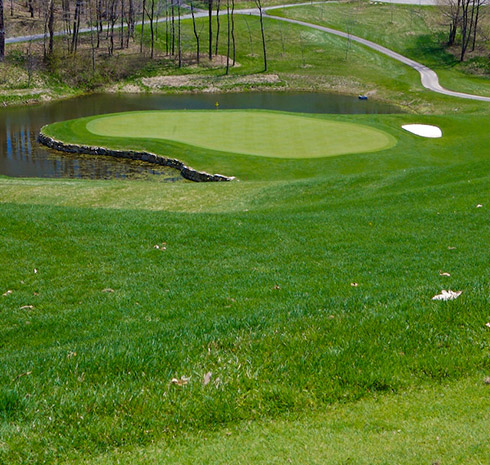 Cranberry Highlands 03 Tee