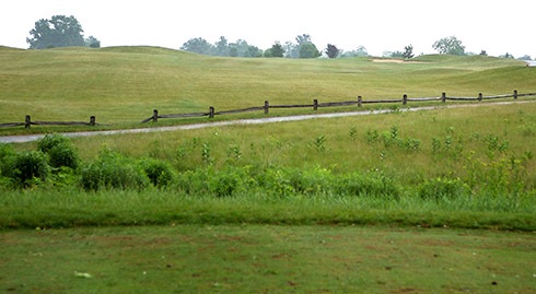 Darby Creek 04 Tee