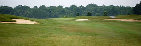 Darby Creek 05 Green