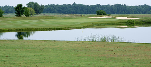 Darby Creek 11 Tee