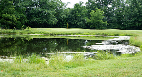 Darby Creek 12 Green