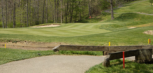 Eagle Sticks 03 Green