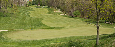 Eagle Sticks 08 Green