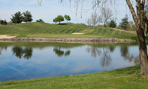 Eagle Sticks 10 Green