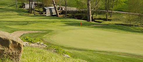 Eagle Sticks 11 Green Angle