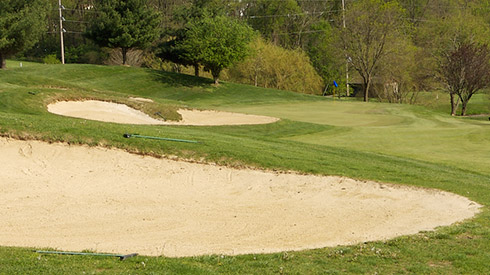 Eagle Sticks 14 Green