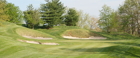 Eagle Sticks 17 Green
