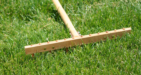 Muirfield Village Bunker Rake