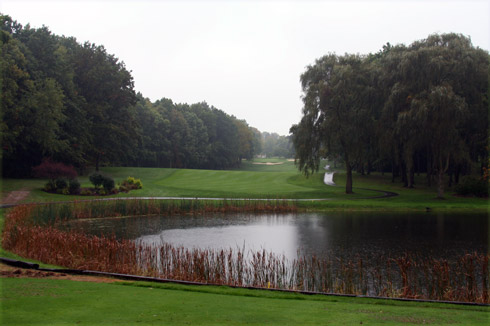 Oak Tree 06 Tee