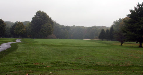 Oak Tree 12 Tee