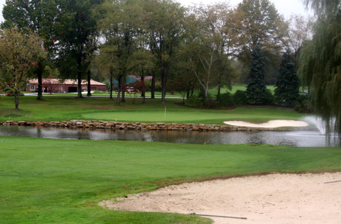 Oak Tree 18 Green