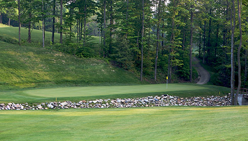 Whispering Woods 04 Green