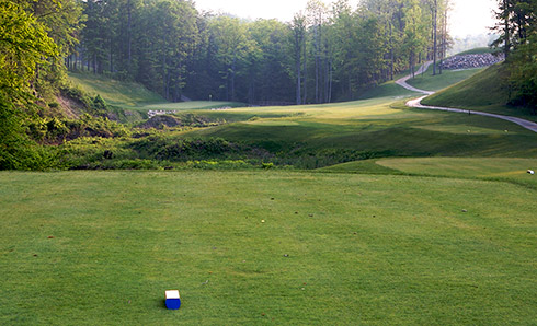 Whispering Woods 04 Tee