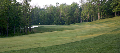 Whispering Woods 07 Green