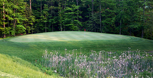 Whispering Woods 08 Green