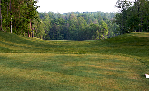 Whispering Woods 08 Tee