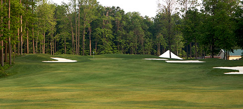 Whispering Woods 09 Green