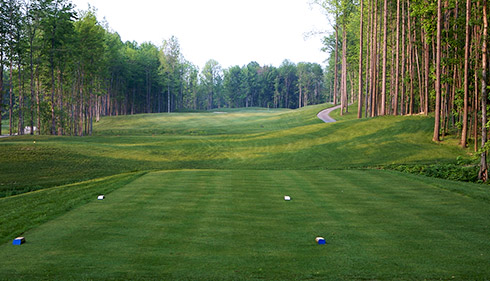 Whispering Woods 10 Tee