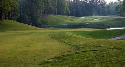 Whispering Woods 15 Fairway