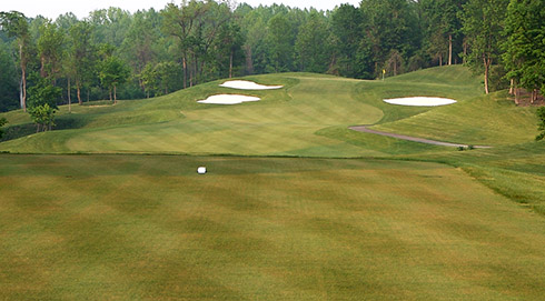Whispering Woods 16 Tee