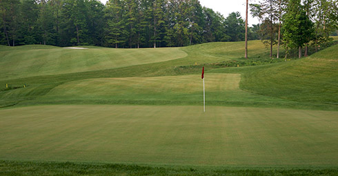 Whispering Woods 17 Green