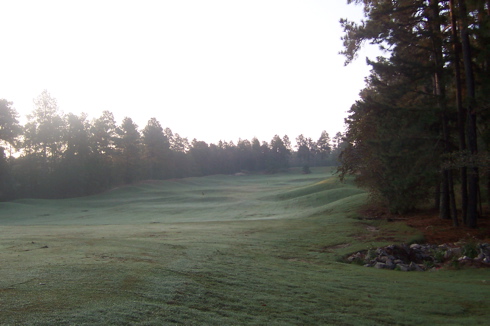Dewy Morning