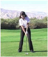 Yockey Models Proper Set-Up
