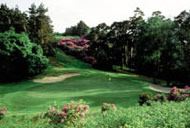 woburn_dukes_2nd.jpg