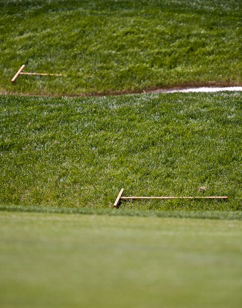 Bunker Rakes
