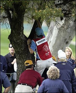 Goosen's Caddie