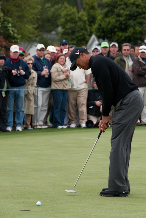Tiger Woods Putting
