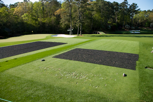Twelve Tee
