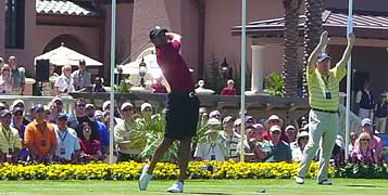 Tavistock Tiger Woods