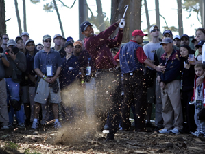 Tiger Woods at Harding Park