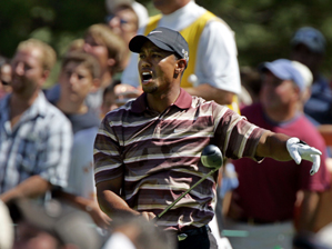 Tiger Woods NEC