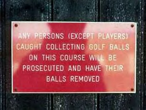 No ball hawking sign