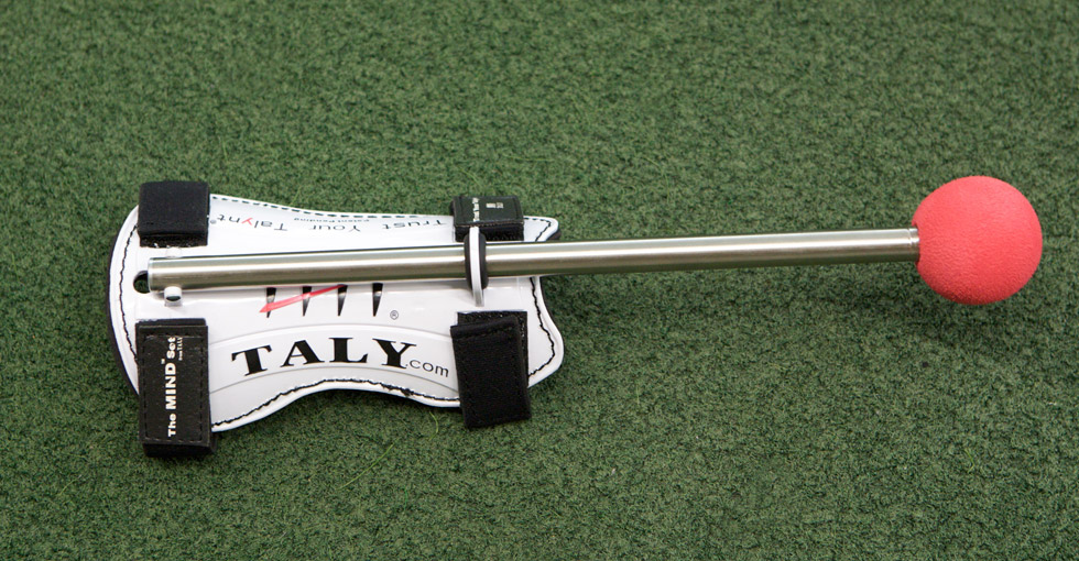Taly Compact