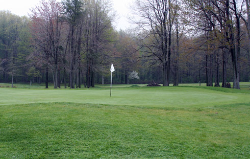 Candywood Second Green