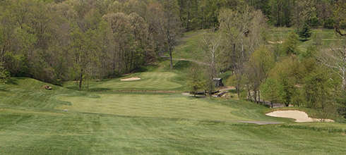 Bare trees mean wider fairways.