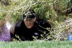 Phil Mickelson in the Trees